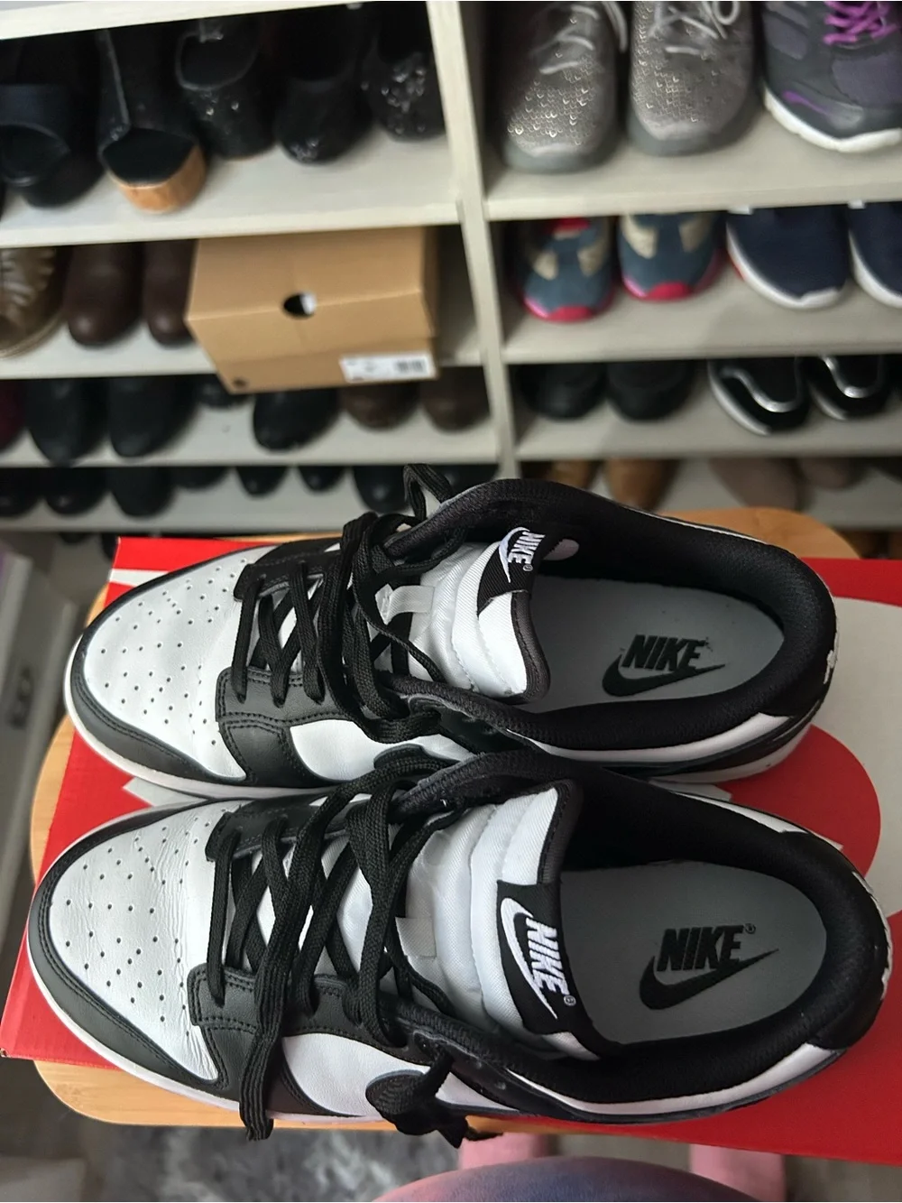Black and White Nike Low Top Dunks (Panda)